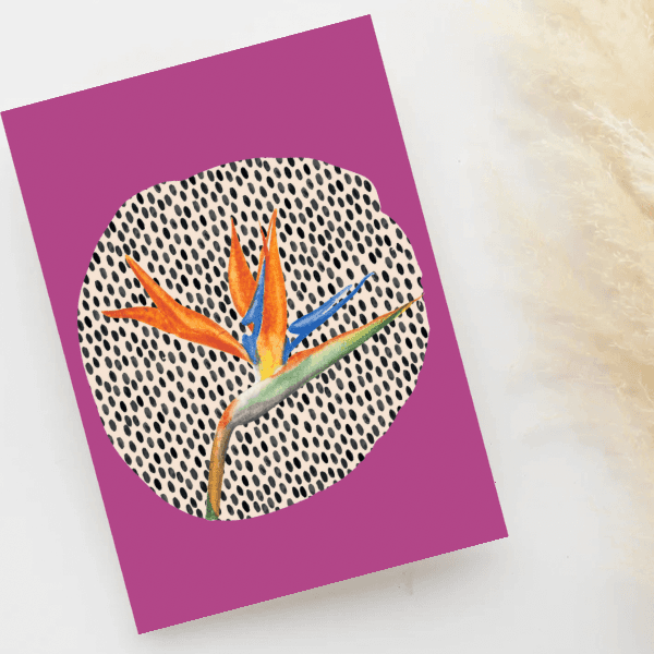Greeting Card - Bird of Paradise