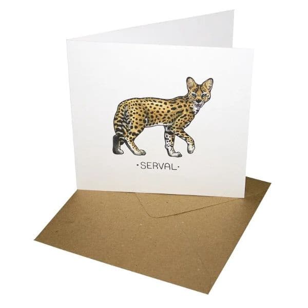 Serval Birthday Greeting Card TACS:01/06.W