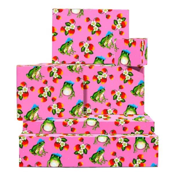 Frogs In Hats 100gsqm Wrapping Paper Sheet GW41SIN