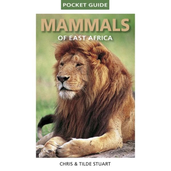 Pocket Mammals of East Africa