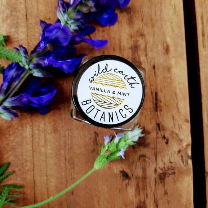 WEB Lip Balm