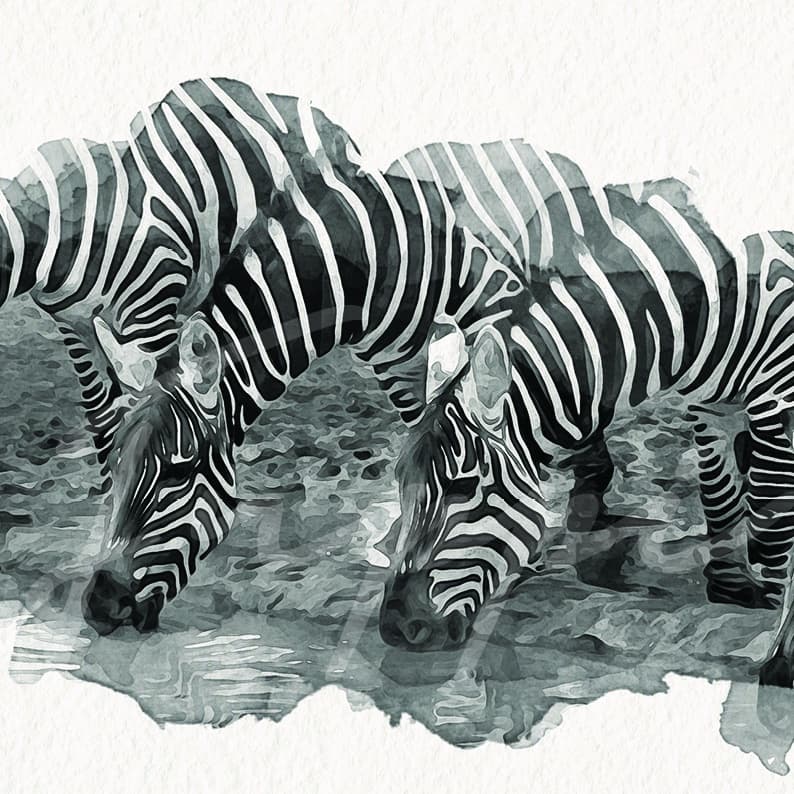 Striped