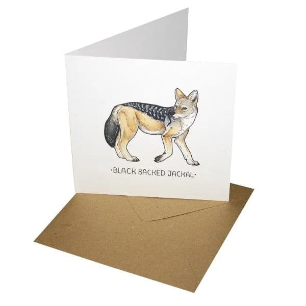 Jackal Birthday Greeting Card TADBBJ:01/06.W
