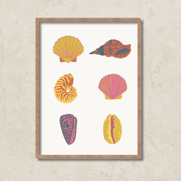 Print - White Shells