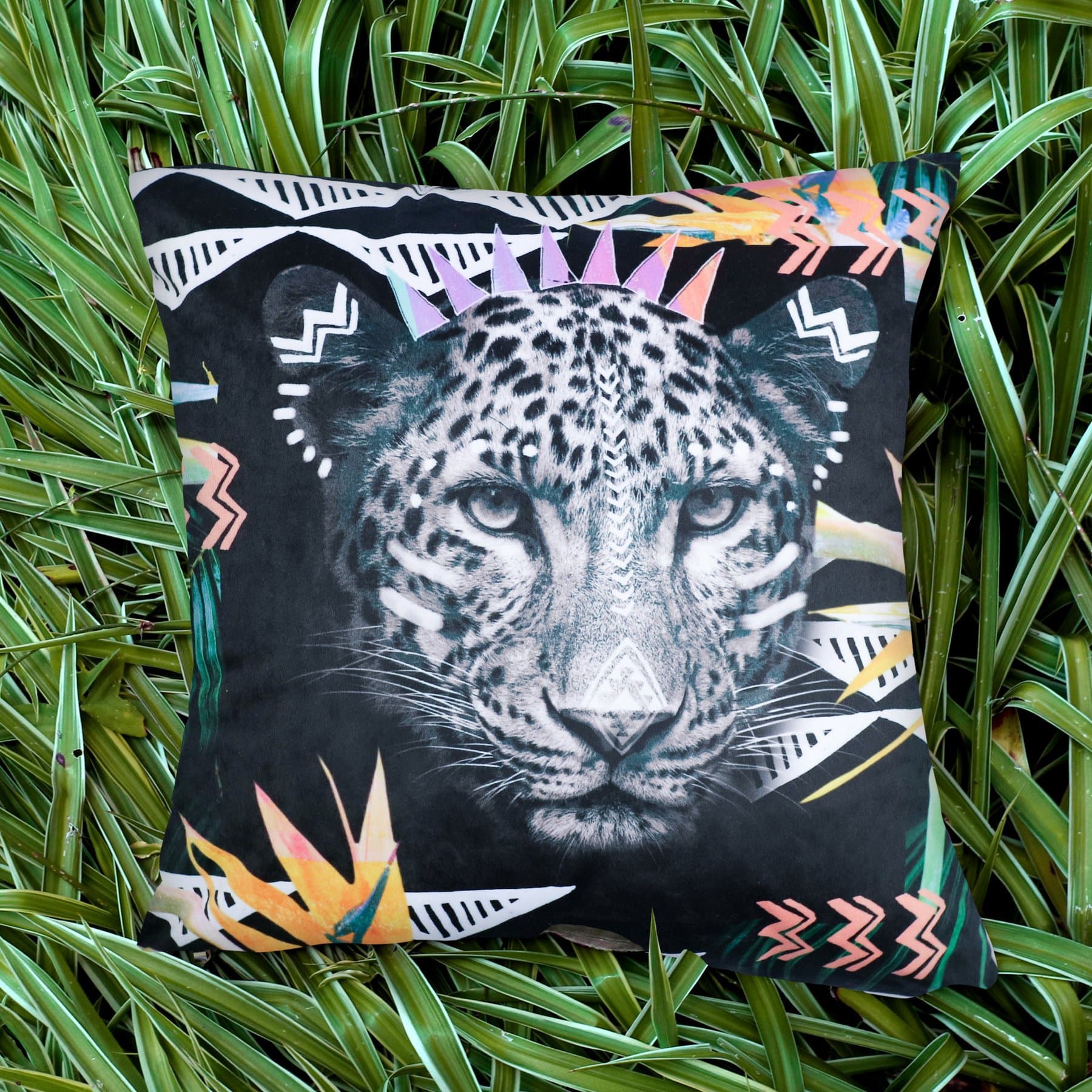 C Fierce Leopard