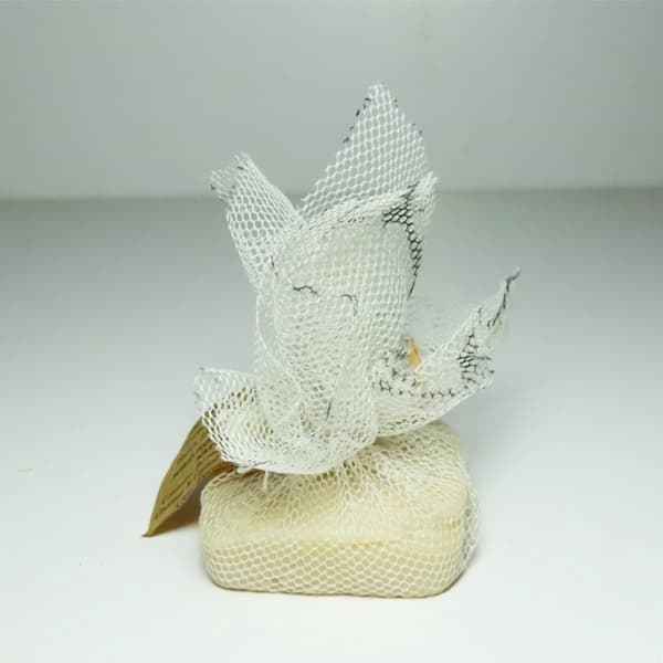 Wrapped Soap