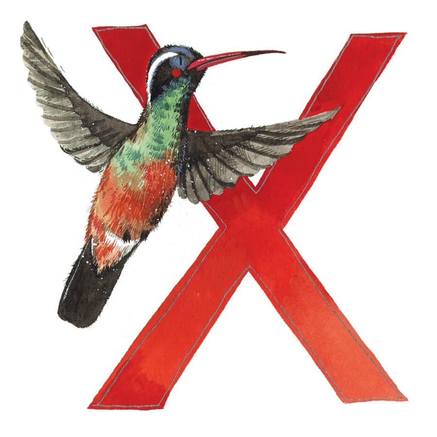 X Alphabet Tile