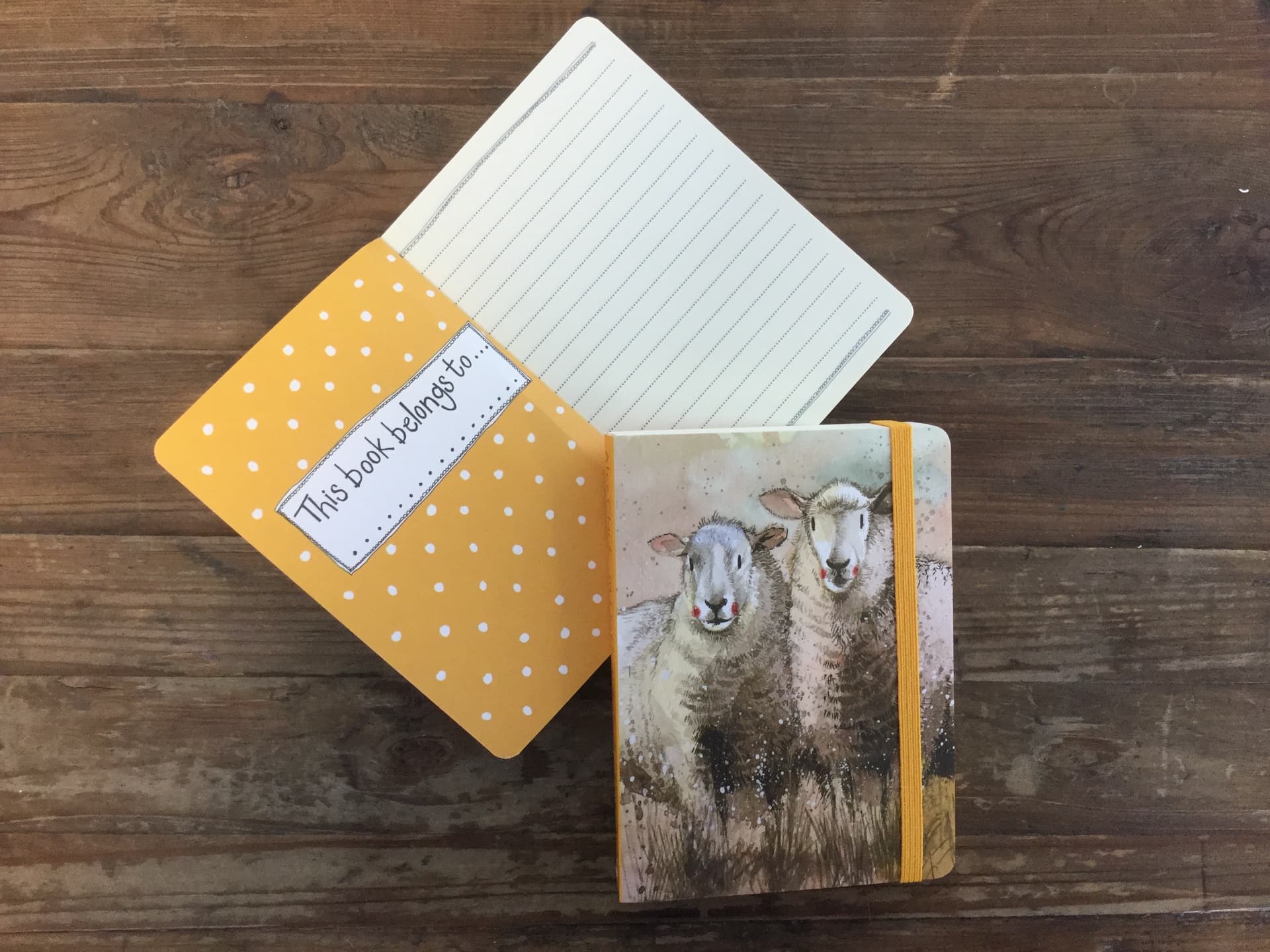 Notebook Small - Chunky/Companions
