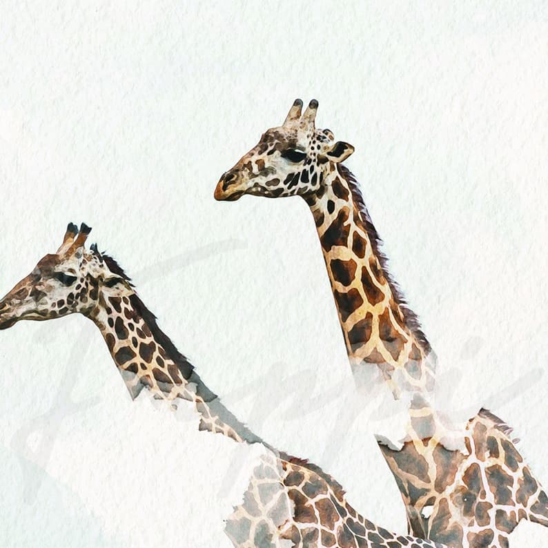 Two Tall