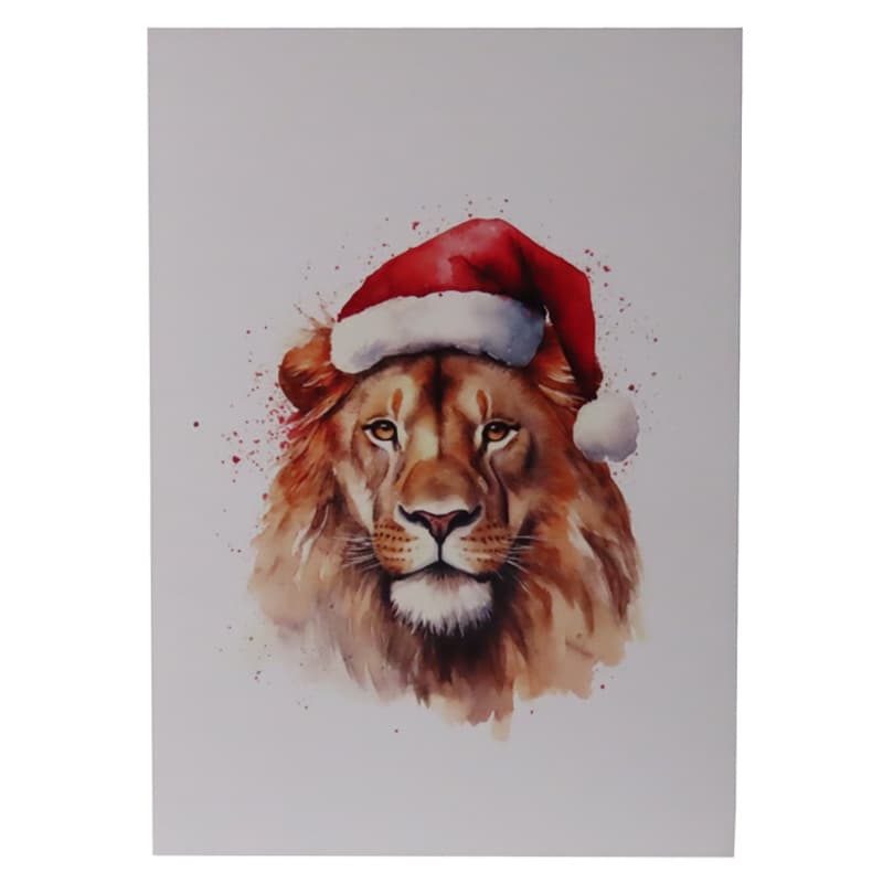 A6 Post cards